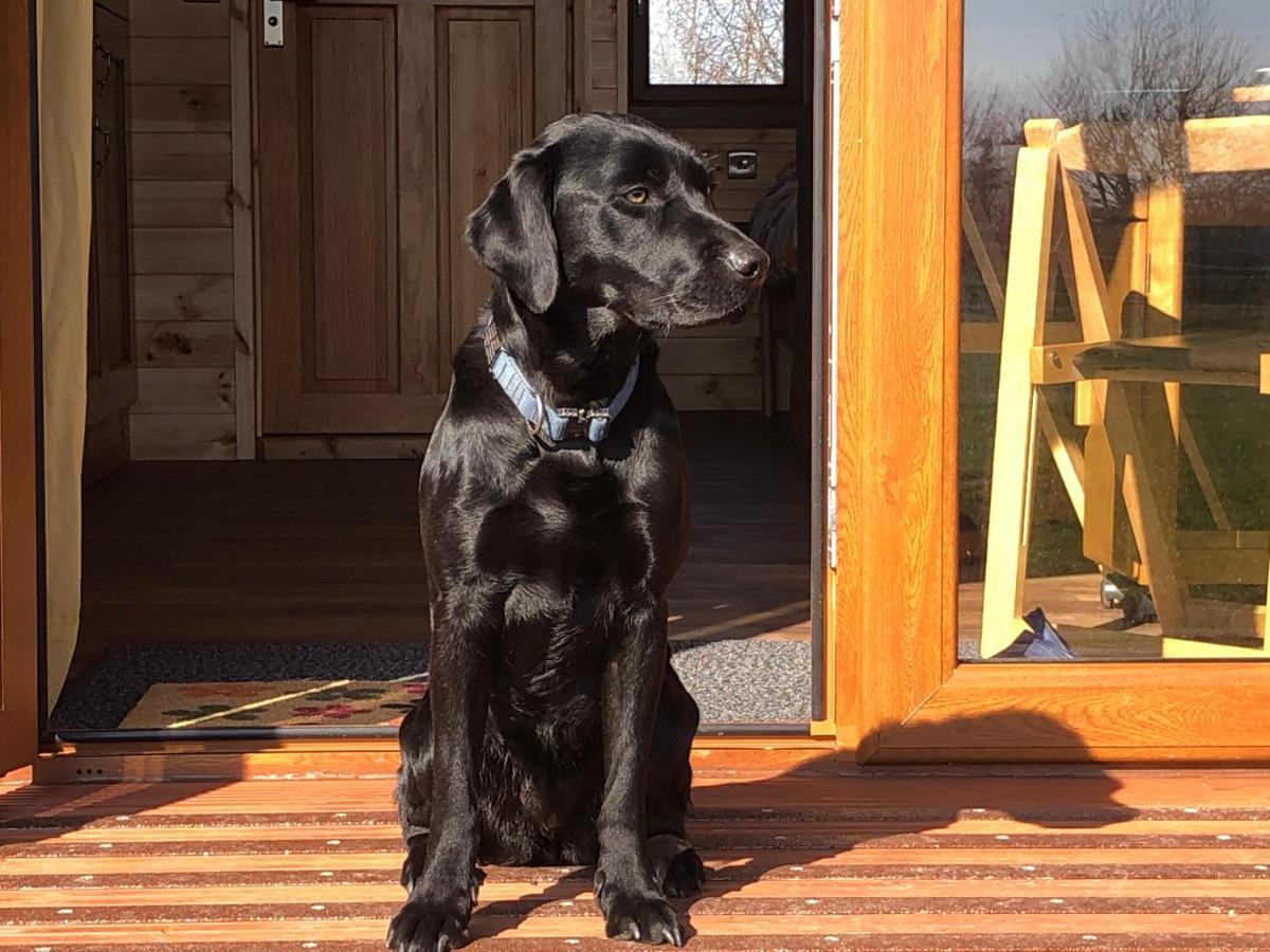 Manor Farm Stay Sutton-on-Sea Bagian luar foto