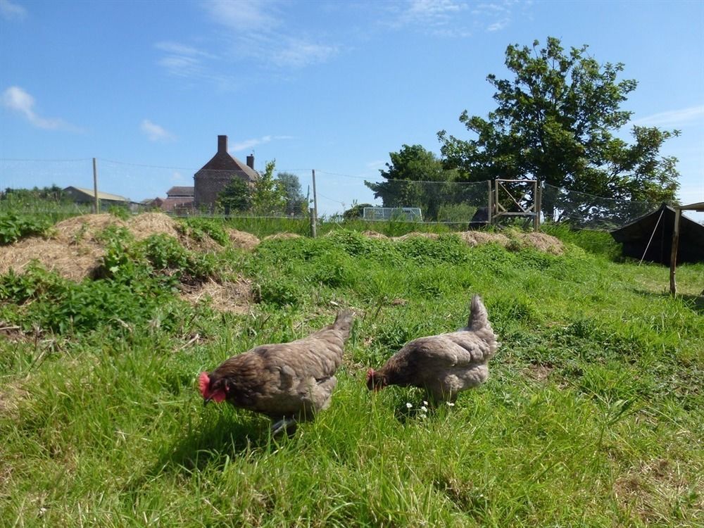 Manor Farm Stay Sutton-on-Sea Bagian luar foto